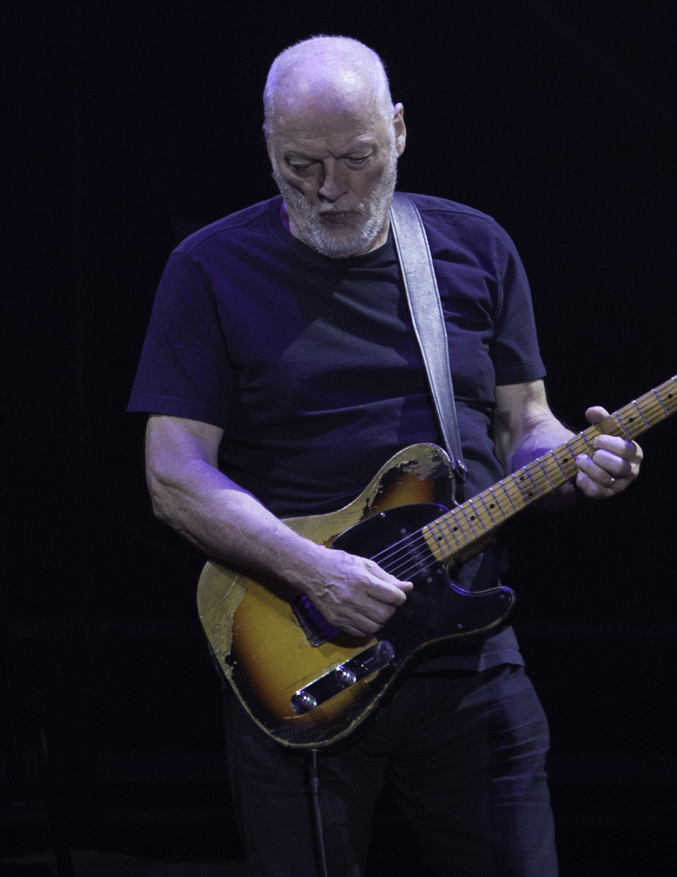 taille-david-gilmour-Image