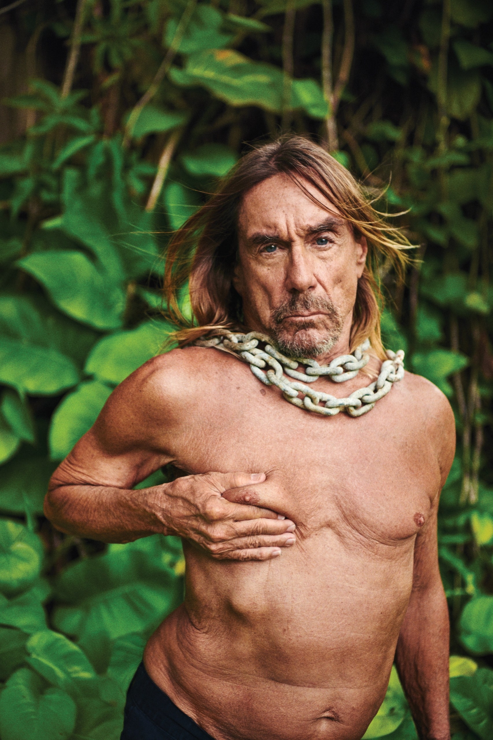 taille-iggy-pop-Image