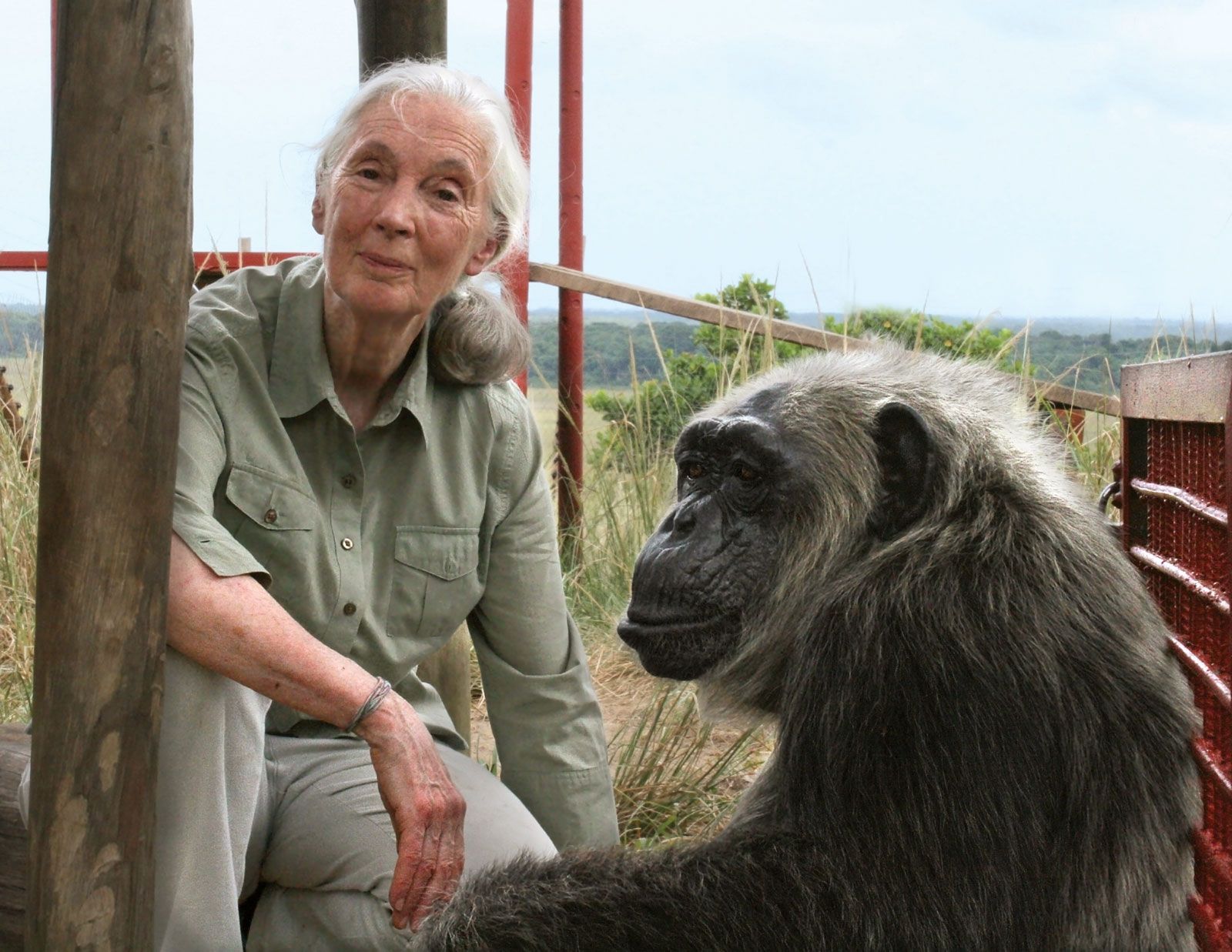 taille-jane-goodall-Image