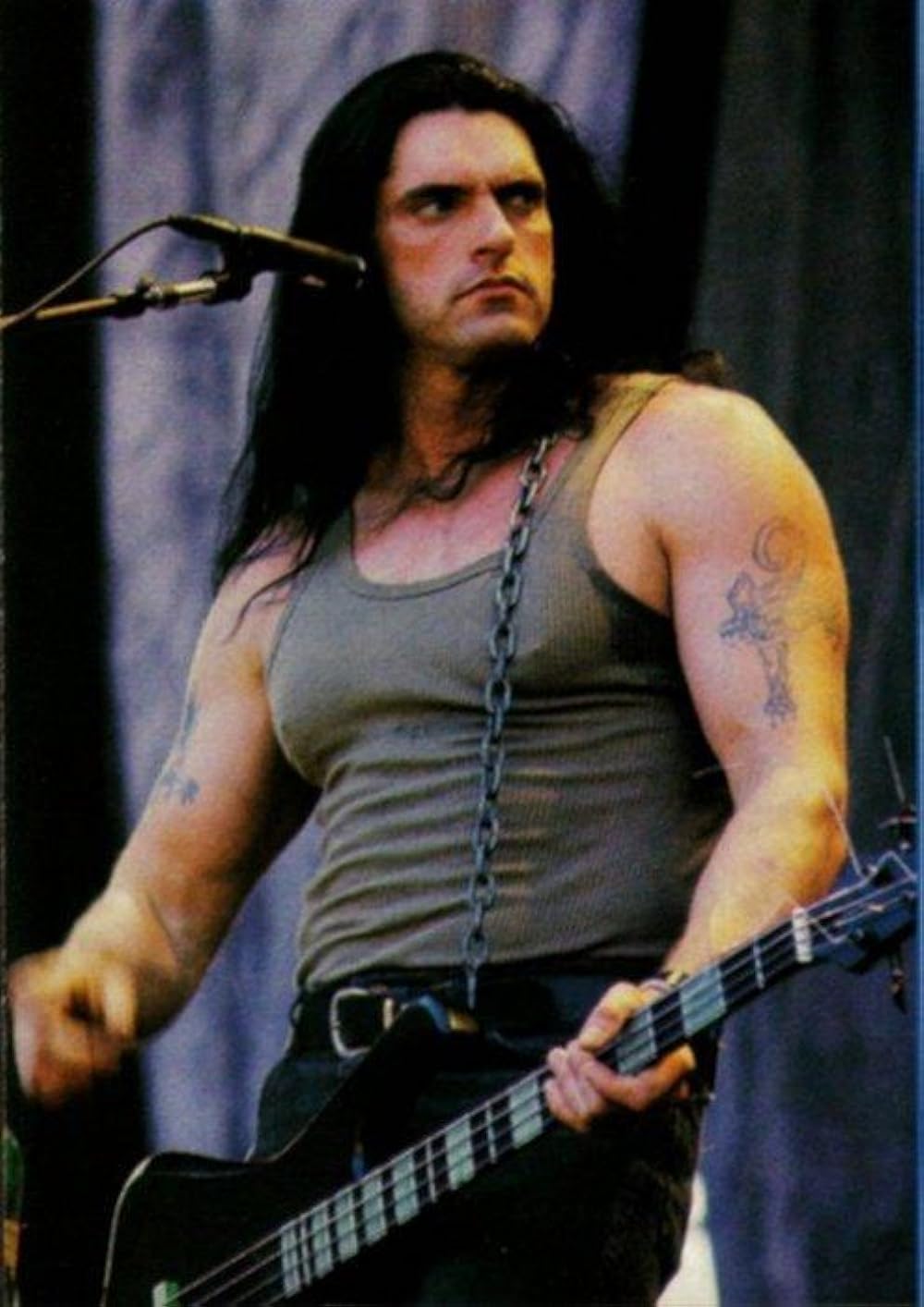 taille-peter-steele-Image